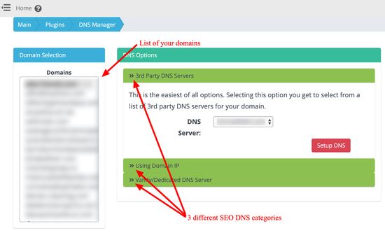 Smart SEO DNS Manager - Hauptschnittstelle